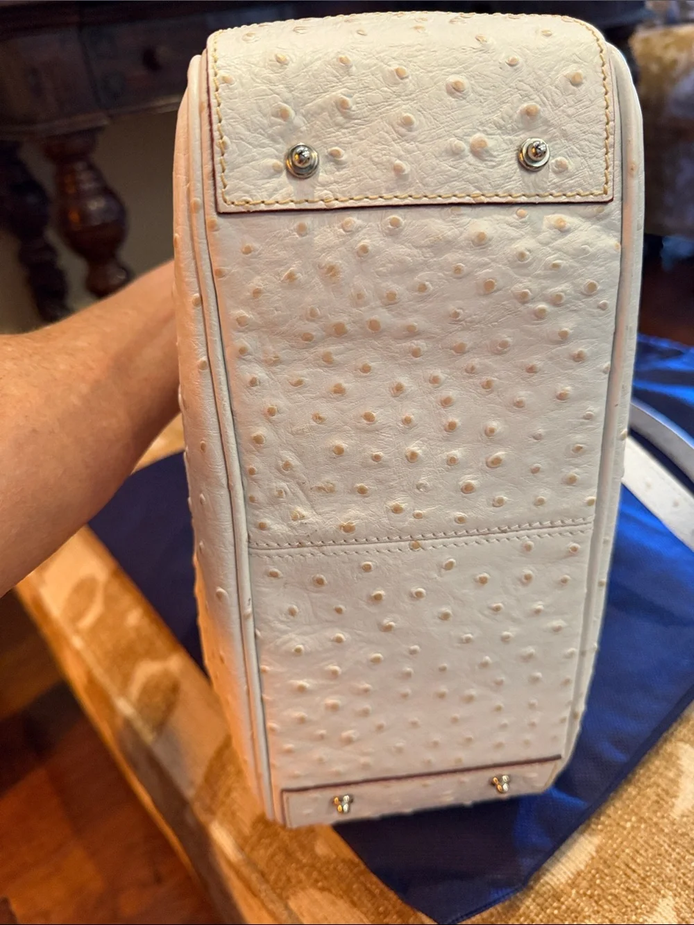 NWOT DOONEY & BOURKE Elegant Ostrich Embossed Leather Handbag-Polished Hardware!